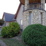 DSC01313