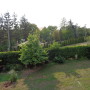 DSC01341